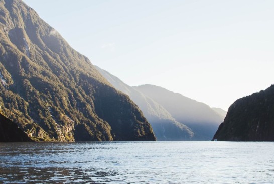 southern fiord banner